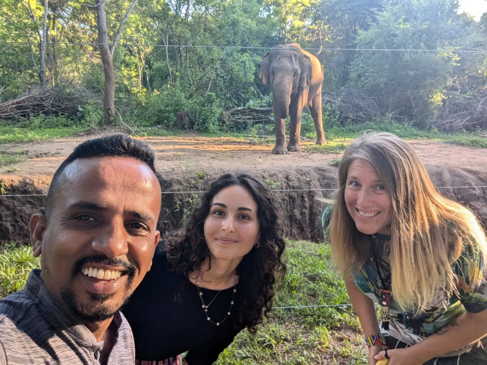 tuktukdude elephant watching